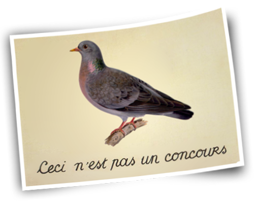 no_contest_photo_500.png